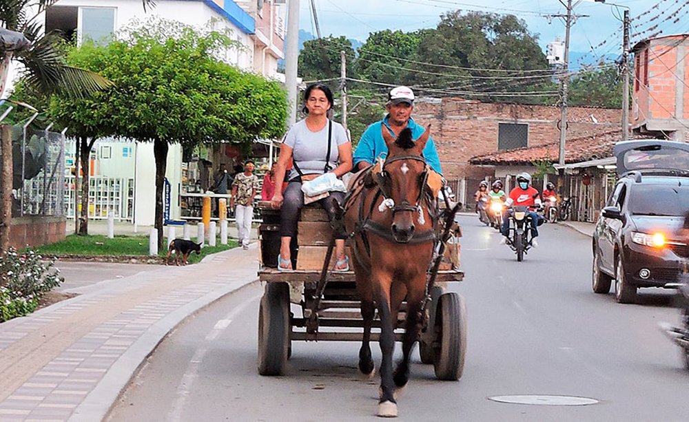avanza-la-sustitucion-de-vehiculos-de-traccion-animal-en-el-valle-del-cauca-01