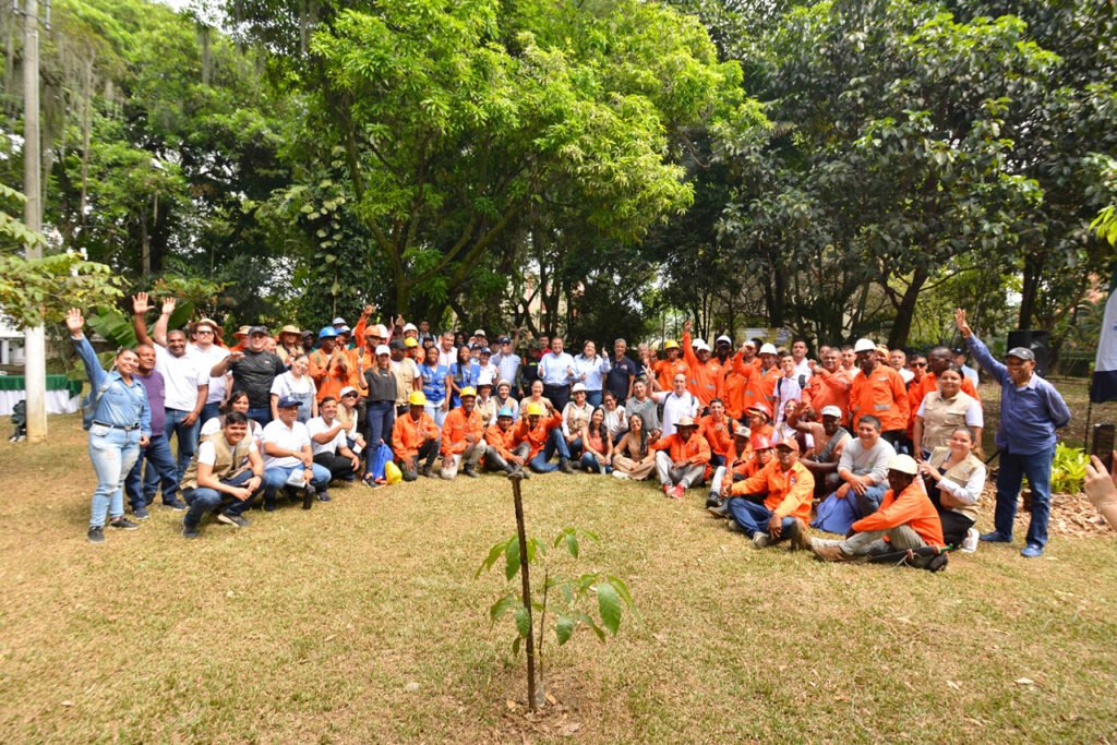 la-cvc-sembrara-8700-nuevos-arboles-en-diferentes-comunas-de-cali-03