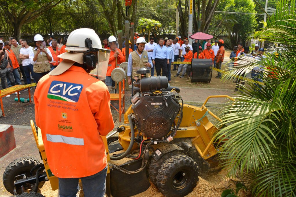 la-cvc-sembrara-8700-nuevos-arboles-en-diferentes-comunas-de-cali-05
