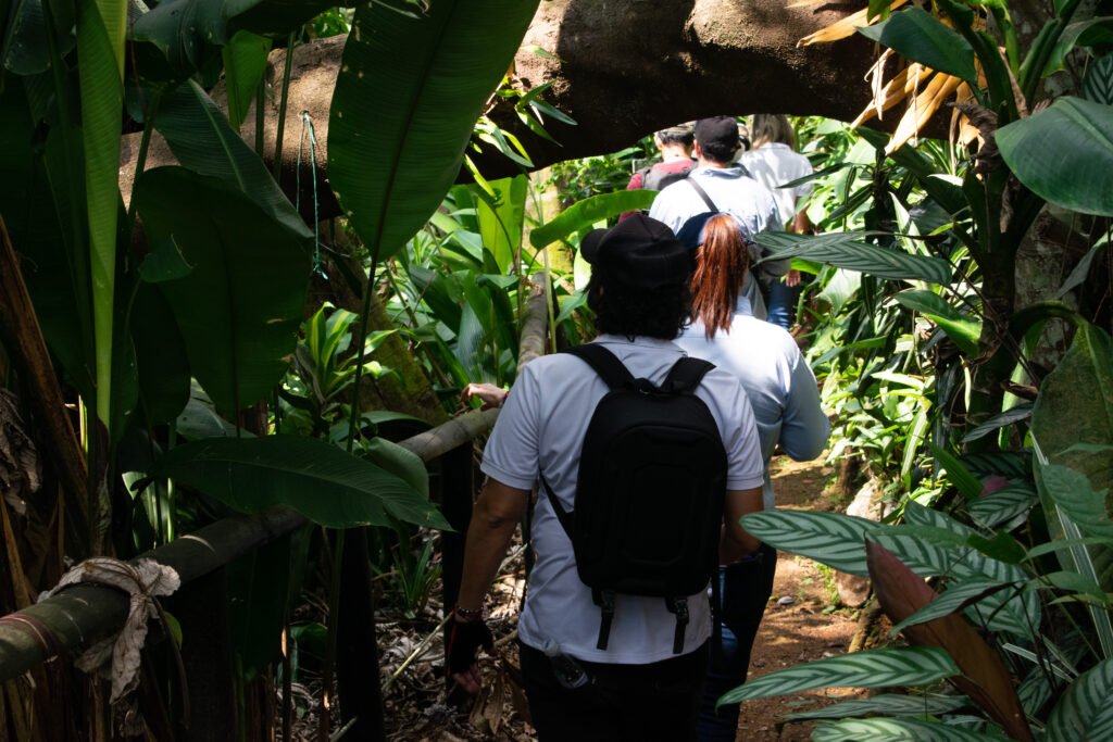en-la-semana-de-la-biodiversidad-magazin-mi-gente-visito-el-mirador-de-las-orquideas-en-cristo-rey-04