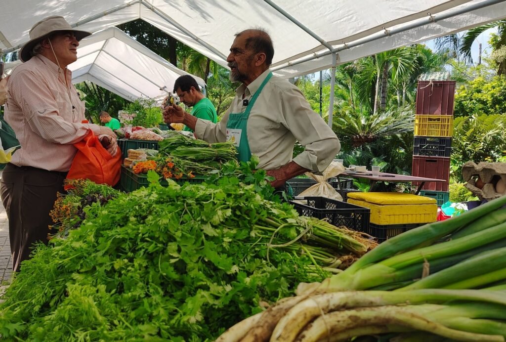 nos-unimos-o-nos-hundimos-asegura-alejandro-de-lima-bohmer-01