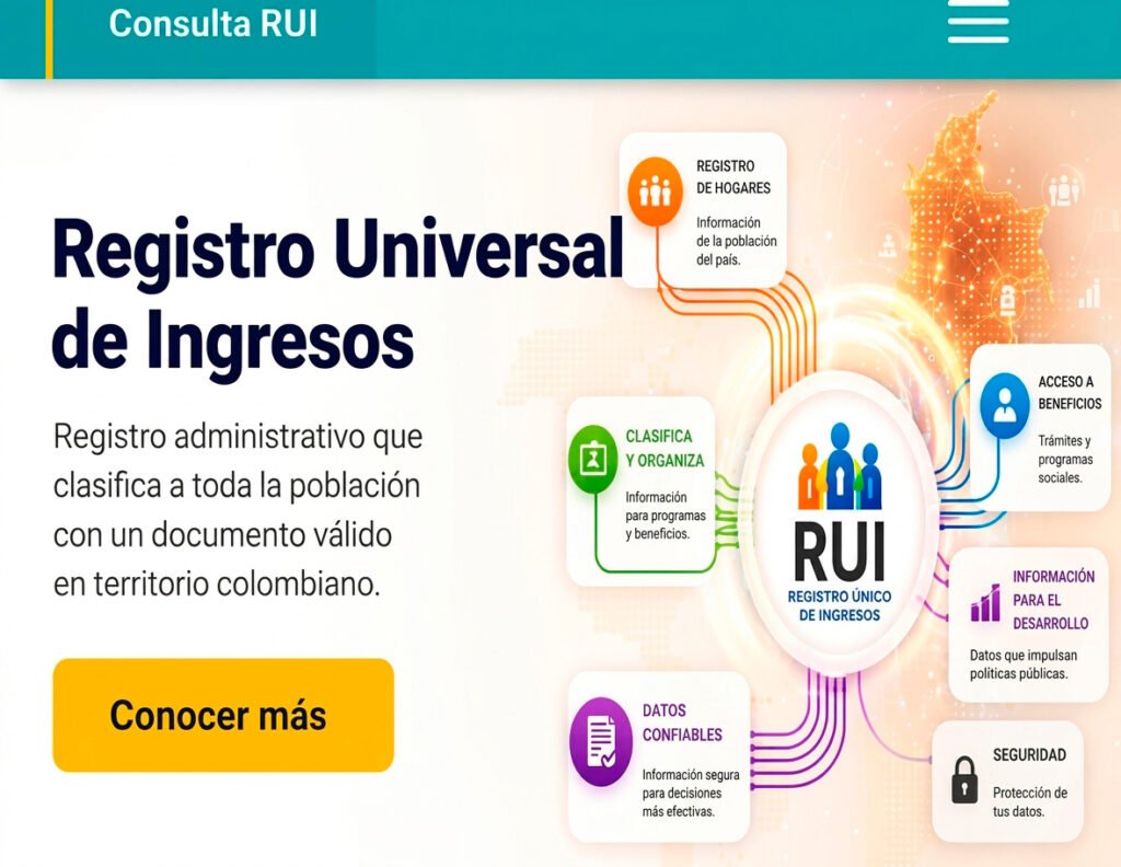 asi-funcionara-el-nuevo-registro-universal-de-ingresos-rui-para-definir-quienes-reciben-subsidios-y-ayudas-del-estado-03