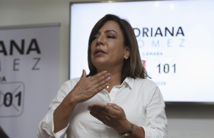 ¿Quién es Adriana Gómez Millán? quien-es-adriana-gomez-millan-01
