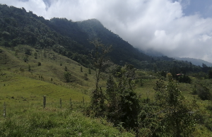 Tercera entrega bolsa de proyectos USE tercera-entrega-bolsa-de-proyectos-use-04