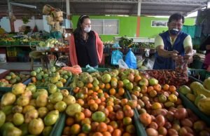 La crisis de la seguridad y soberanía alimentaria la-crisis-de-la-seguridad-y-soberania-alimentaria-01