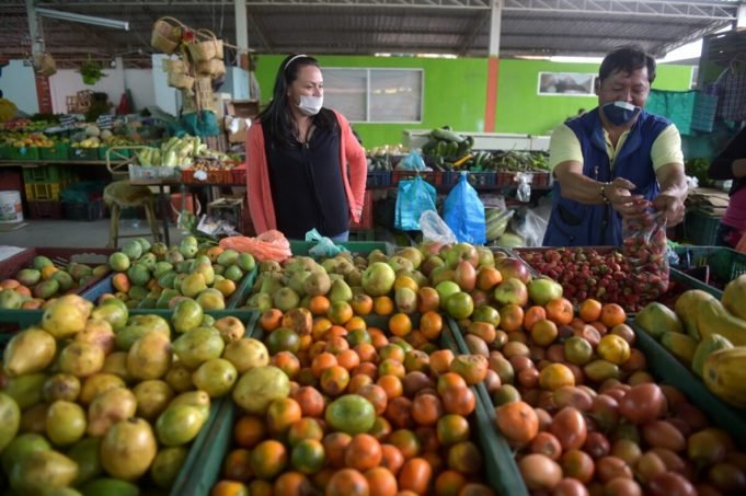 La crisis de la seguridad y soberanía alimentaria la-crisis-de-la-seguridad-y-soberania-alimentaria-01