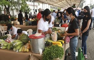Gran mercado campesino del Valle. mas-de-300-productores-agricolas-participaran-en-la-agroferia-y-gran-mercado-campesino-del-valle-01
