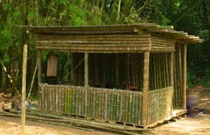 Las Ecobarras, una realidad del Ecoparque Pance Mágico las-ecobarras-una-realidad-del-ecoparque-pance-magico-01