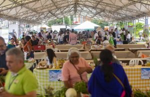 ¿Porqué los productos de la canasta familiar están tan costosos? porque-los-productos-de la-canasta-familiar-estan-tan-costosos-01