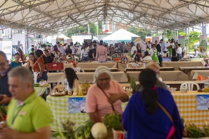 ¿Porqué los productos de la canasta familiar están tan costosos? porque-los-productos-de la-canasta-familiar-estan-tan-costosos-01