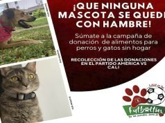 Éste 30 de abril, será el II futboltón en Cali este-30-de-abril-sera-el-II-futboltoon-en-cali-02