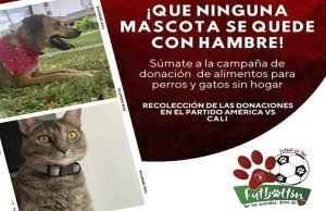 Éste 30 de abril, será el II futboltón en Cali este-30-de-abril-sera-el-II-futboltoon-en-cali-02