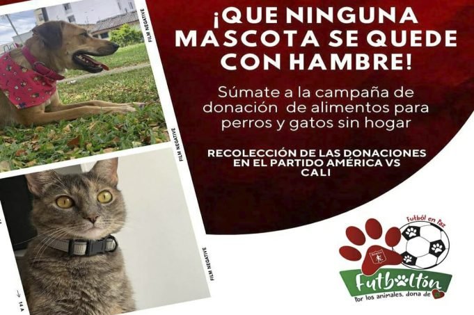 Éste 30 de abril, será el II futboltón en Cali este-30-de-abril-sera-el-II-futboltoon-en-cali-02