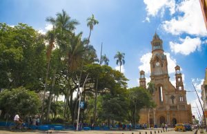 Palmira espera convertirse en el primer Distrito Agropecuario de Colombia palmira-espera-convertirse-en-el-primer-distrito-agropecuario-de-colombia-06