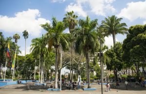 Villa de las Palmas, un dulce territorio para vivir villa-de-las-palmas-un-dulce-territorio-para-vivir-02