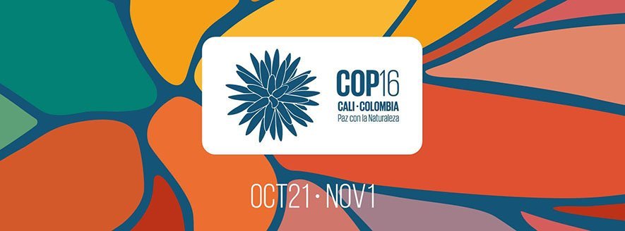 cali-se-prepara-en-materia-de-seguridad-para-la-realizacion-de-la-cop16-02