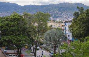 La CVC presentó el censo arbóreo para Cali 2024 la-cvc-presento-el-censo-arboreo-para-cali-2024-01