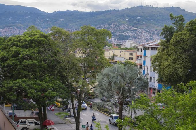 La CVC presentó el censo arbóreo para Cali 2024 la-cvc-presento-el-censo-arboreo-para-cali-2024-01