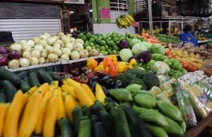 La Ruta de Colores y Sabores, recibió a los diputados del Valle. la-ruta-de-colores-y-sabores-recibio-a-los-diputados-del-valle-03