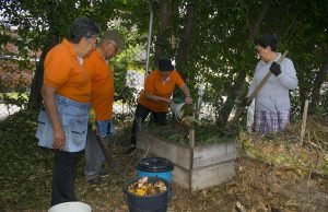 La escombrera que hoy es una huerta comunitaria y alimenta a sus habitantes los-vecinos-se-unen-para-limpiar-preparar-la-tierra-y-cultivar-alimentos-que-no-solo-mejoran-su-alimentacion-sino-que-tambien-fortalecen-el-sentido-de-comunidad-02