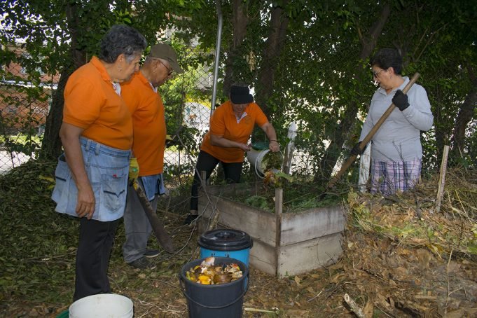 La escombrera que hoy es una huerta comunitaria y alimenta a sus habitantes los-vecinos-se-unen-para-limpiar-preparar-la-tierra-y-cultivar-alimentos-que-no-solo-mejoran-su-alimentacion-sino-que-tambien-fortalecen-el-sentido-de-comunidad-02