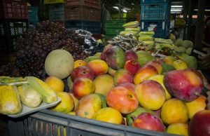 Más de 5 millones de personas en Colombia son menos inteligentes y más pobres por culpa del hambre mas-de-5-millones-de-personas-en-colombia-son-menos-inteligentes-y-mas-pobres-por-culpa-del-hambre-03