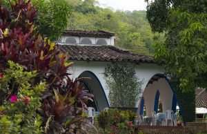 Balance agenda paralela COP16, Pance, Universo de Biodiversidad balance-agenda-paralela-cop16-pance-universo-de-biodiversidad-02