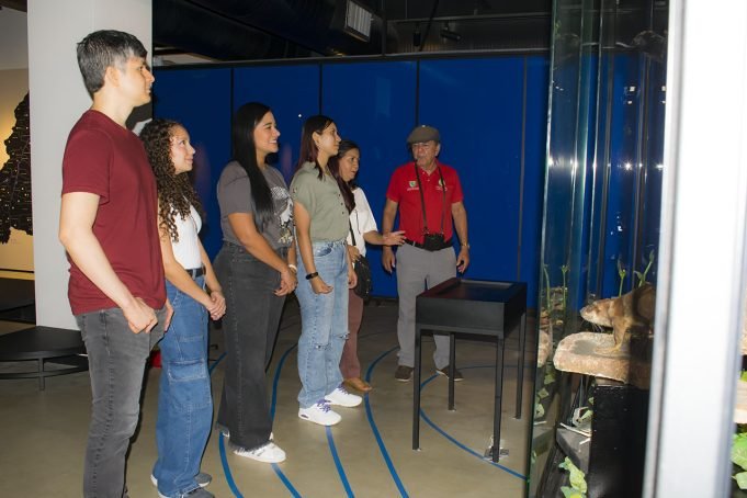 (INCIVA) fomenta activamente las visitas a sus centros operativos culturales inciva-fomenta-activamente-las-visitas-a-sus-centros-operativos-culturales-04