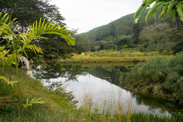 pance-magico-un-paraiso-para-disfrutar-05