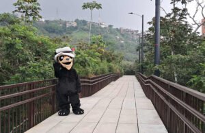 La CVC entregó el tramo 3 hacia Cristo Rey con una inversión de más de 18 mil millones de pesos. la-cvc-entrego-el-tramo-3-hacia-cristo-rey-con-una-inversion-de-mas-de-18-mil-millones-de-pesos-06