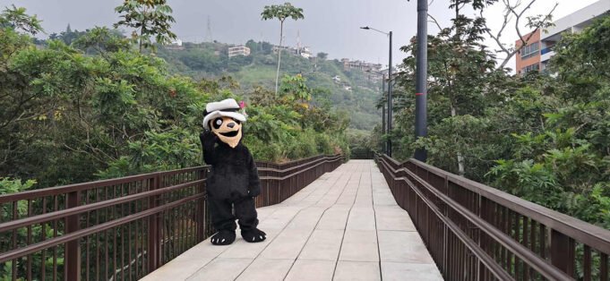 La CVC entregó el tramo 3 hacia Cristo Rey con una inversión de más de 18 mil millones de pesos. la-cvc-entrego-el-tramo-3-hacia-cristo-rey-con-una-inversion-de-mas-de-18-mil-millones-de-pesos-06