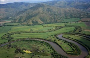“No se puede presionar decisiones políticas poniendo en juego los derechos de la gente”: Dilian Francisca Toro. no-se-puede-presionar-decisiones-politicas-poniendo-en-juego-los-derechos-de-la-gente-dilian-francisca-toro-01