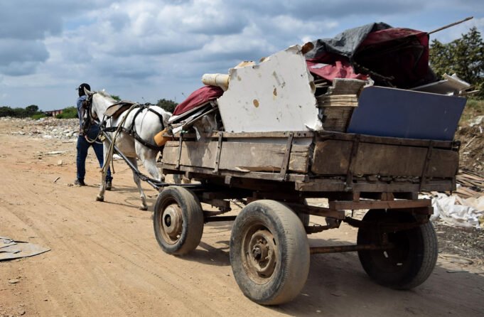 Avanza la Sustitución de Vehículos de Tracción Animal en el Valle del Cauca. avanza-la-sustitucion-de-vehiculos-de-traccion-animal-en-el-valle-del-cauca-03