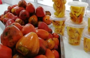 En la Terminal de Cali, el Pacífico se saborea en Mirá Vé Chontaduro y Borojó. en-la-terminal-de-cali-el-pacifico-se-saborea-en-mira-ve-chontaduro-y-borojo-03