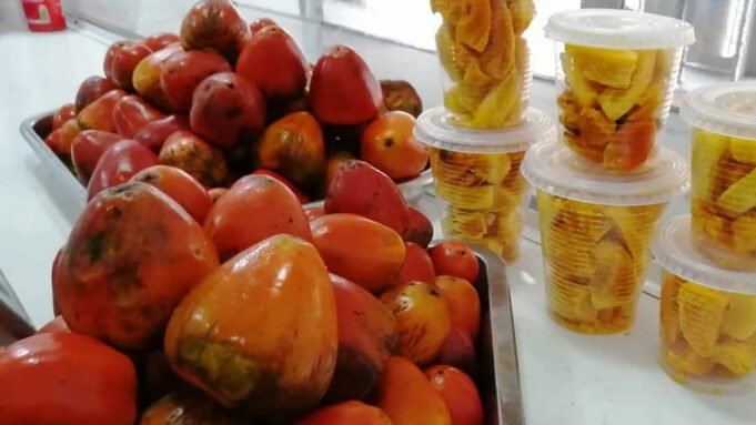 En la Terminal de Cali, el Pacífico se saborea en Mirá Vé Chontaduro y Borojó. en-la-terminal-de-cali-el-pacifico-se-saborea-en-mira-ve-chontaduro-y-borojo-03