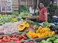 CAVASA revela positivo balance de gestión 2025 y proyecta expansión con mercado gastronómico y nuevas bodegas. cavasa-revela-positivo-balance-de-gestion-2025-y-proyecta-expansion-con-mercado-gastronomico-y-nuevas-bodegas-04