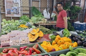 CAVASA revela positivo balance de gestión 2025 y proyecta expansión con mercado gastronómico y nuevas bodegas. cavasa-revela-positivo-balance-de-gestion-2025-y-proyecta-expansion-con-mercado-gastronomico-y-nuevas-bodegas-04