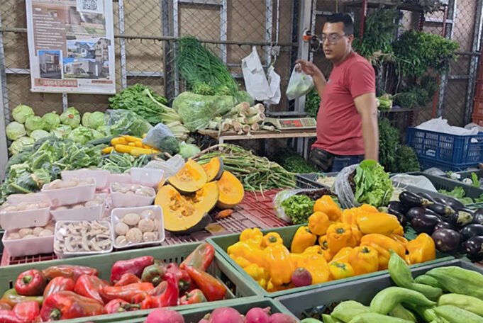 CAVASA revela positivo balance de gestión 2025 y proyecta expansión con mercado gastronómico y nuevas bodegas. cavasa-revela-positivo-balance-de-gestion-2025-y-proyecta-expansion-con-mercado-gastronomico-y-nuevas-bodegas-04