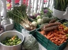 La bendición divina llegó al barrio el Rodeo en la comuna 12 de Cali la-bendicion-divina-llego-al-barrio-el-rodeo-en-la-comuna-12-de-cali-01