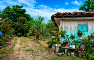 20 mil hectáreas han sido restituidas en el Valle del Cauca por la Unidad de Restitución de Tierras 20-mil-hectareas-han-sido-restituidas-en-el-valle-del-cauca-por-la-unidad-de-restitucion-de-tierras-01