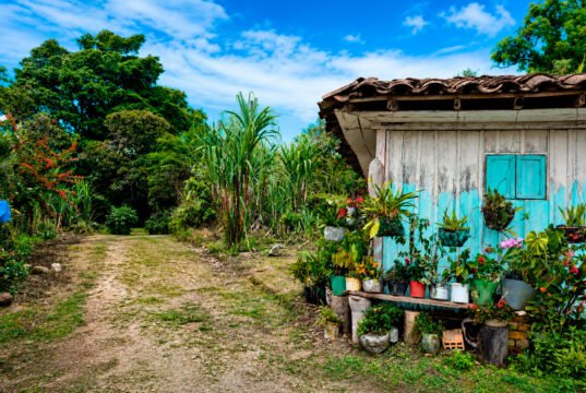 20 mil hectáreas han sido restituidas en el Valle del Cauca por la Unidad de Restitución de Tierras 20-mil-hectareas-han-sido-restituidas-en-el-valle-del-cauca-por-la-unidad-de-restitucion-de-tierras-01