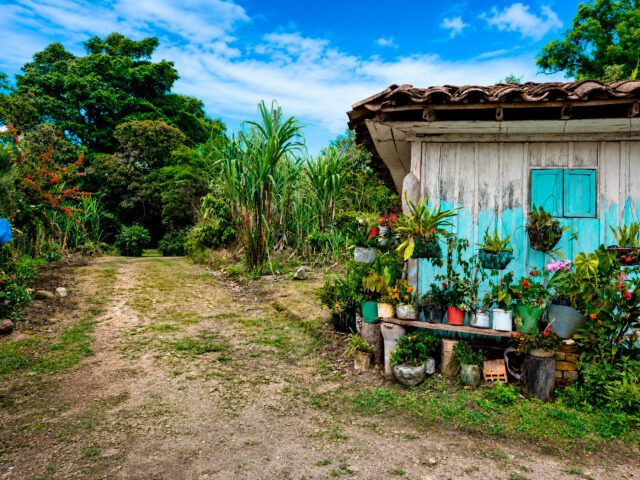 20-mil-hectareas-han-sido-restituidas-en-el-valle-del-cauca-por-la-unidad-de-restitucion-de-tierras-01