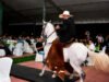 La 73.ª Feria Agropecuaria de Buga abre con cabalgata y grandes conciertos la-73-feria-agropecuaria-de-buga-abre-con-cabalgata-y-grandes-conciertos-04