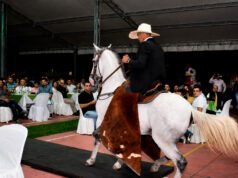 La 73.ª Feria Agropecuaria de Buga abre con cabalgata y grandes conciertos la-73-feria-agropecuaria-de-buga-abre-con-cabalgata-y-grandes-conciertos-04