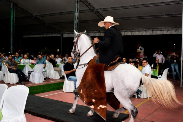 la-73-feria-agropecuaria-de-buga-abre-con-cabalgata-y-grandes-conciertos-04 la-73-feria-agropecuaria-de-buga-abre-con-cabalgata-y-grandes-conciertos-04