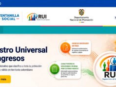 Así funcionará el nuevo Registro Universal de Ingresos (RUI) para definir quiénes reciben subsidios y ayudas del Estado asi-funcionara-el-nuevo-registro-universal-de-ingresos-rui-para-definir-quienes-reciben-subsidios-y-ayudas-del-estado-02