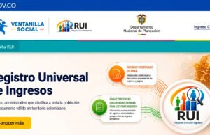 Así funcionará el nuevo Registro Universal de Ingresos (RUI) para definir quiénes reciben subsidios y ayudas del Estado asi-funcionara-el-nuevo-registro-universal-de-ingresos-rui-para-definir-quienes-reciben-subsidios-y-ayudas-del-estado-02